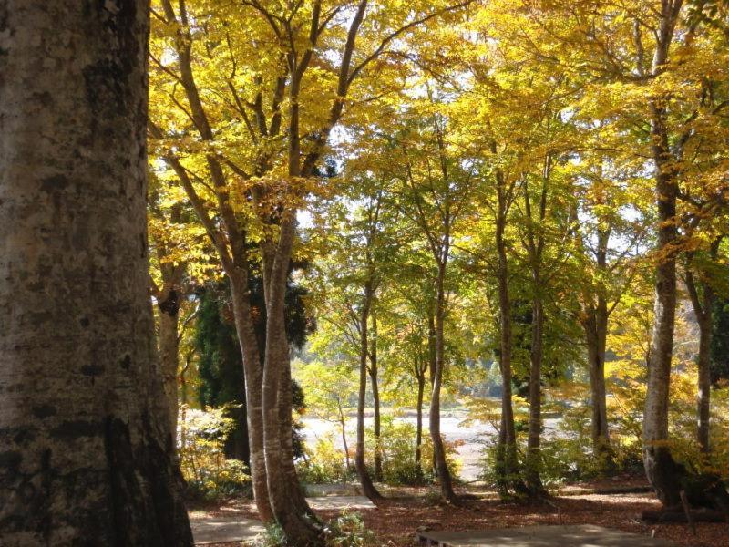 נוזאווה אונסן Lodge Matsuya מראה חיצוני תמונה